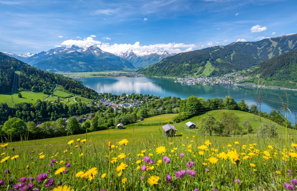 Sommerwiese in den Bergen. Das Foto stammt aus Bayern.
